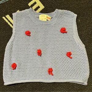 Zara Light Blue Knit Crop Top with Red Details